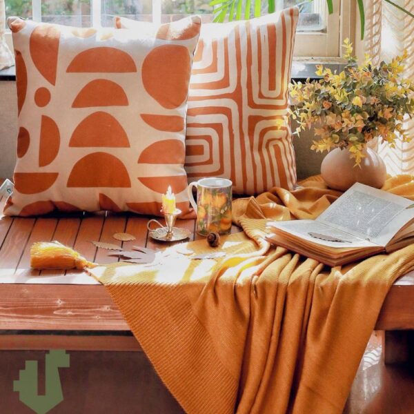 Brown sofa cushion and shawl